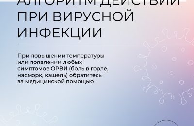 Алгоритм действий при вирусной инфекции