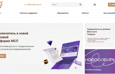 «Мой бизнес»: о мерах поддержки экономики