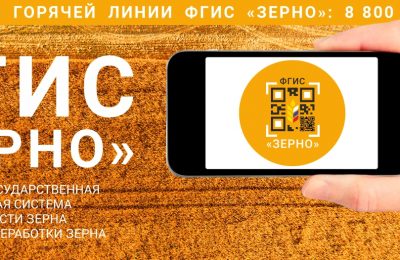 Участники зернового рынка с 1 сентября обязаны предоставлять информацию в ФГИС «Зерно»