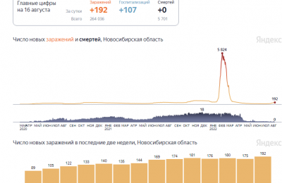 Жителям Новосибирской области рекомендовали носить защитные маски