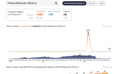 465 случаев COVID-19 выявили в Новосибирской области за сутки
