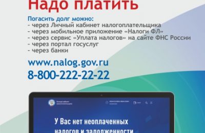 Как проверить долги по налогам: рекомендации УФНС России по Новосибирской области