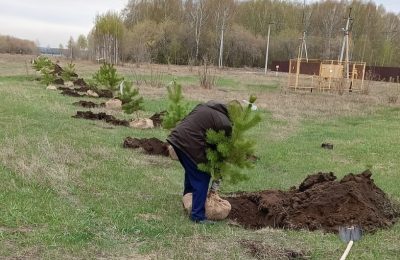 Сад памяти в микрорайоне «Солнечный»