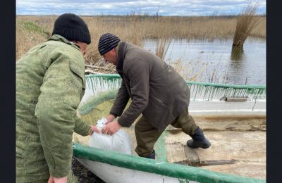 Вылов рыбы в Новосибирской области увеличился благодаря мерам господдержки