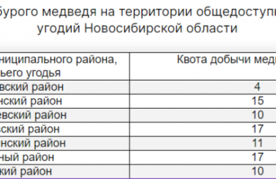 15 медведей и 15 барсуков разрешат убить на территории Колыванского района района