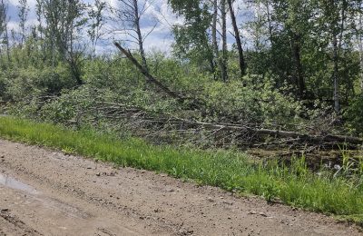 114 опорных километров, в том числе на трассе «Новосибирск — Колывань — Томск», отремонтируют по нацпроекту