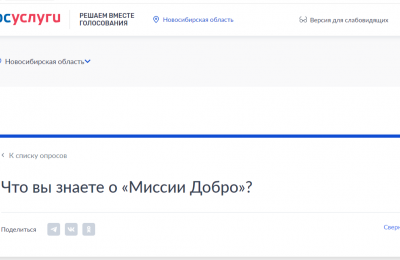 На Госуслугах можно ставить оценки органам власти НСО