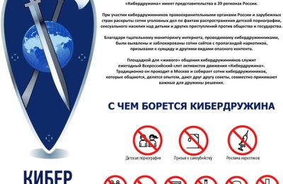 Заместитель губернатора Сергей Нелюбов отметил необходимость усиления цифровой безопасности, включая работу кибердружин.