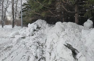 Снег вывезут в ближайшие дни