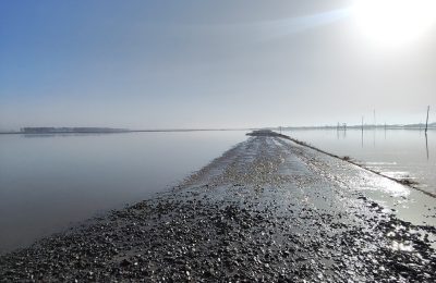 Купинский район: подтопления и переливы дорог