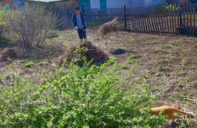 «Свои люди» приходят на помощь