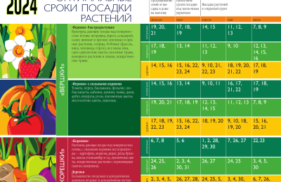 Приметы на 12 июня и лунный календарь садовода и огородника: народные советы