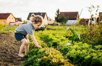 Колыванцы о весне и лете: поэзия наших читателей