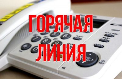 «Горячая линия»: с 12 по 19 июля