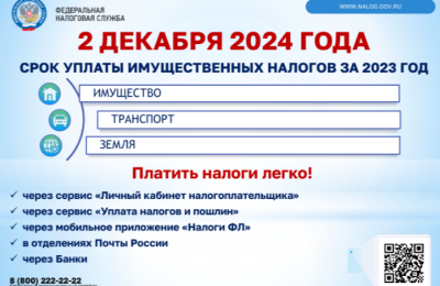 День открытых дверей пройдет для налогоплательщиков Новосибирской области