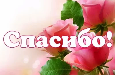 Спасибо за праздник Великой Победы