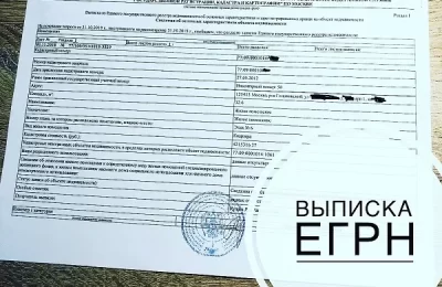 С 2026 года единым документом о постановке на учет в налоговом органе станет выписка