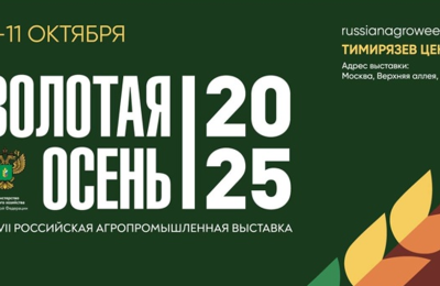 ЦОК АПК представит предварительные итоги государственного мониторинга зерна нового урожая на выставке «Золотая осень – 2025»