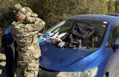 Органы безопасности не допустили совершение теракта в отношении должностного лица