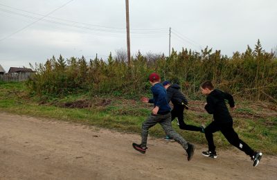 Осенний кросс в Пихтовской школе