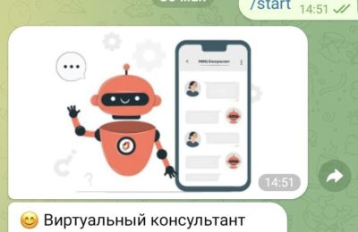 Чат-бот МФЦ Новосибирской области заработал в национальном мессенджере MAX