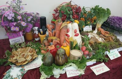 Чудеса на грядке: смотр — конкурс «Ветеранское подворье»