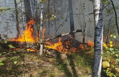 Осенний пожароопасный сезон