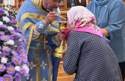 Славить Божию волю