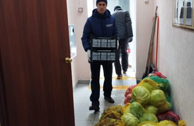 Витаминные подарки