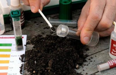 Предзимняя подготовка грунта — залог будущего плодородия