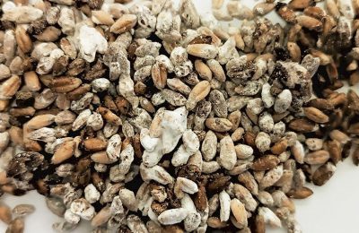 Микотоксины в продовольственных товарах и их компонентах