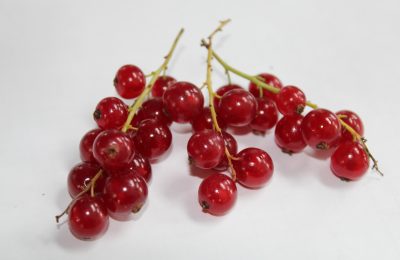 Идеальная ягода для начинающих садоводов: специалисты ЦОК АПК рассказали о пользе и вреде красной смородины