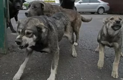 Прокуратура в судебном порядке добилась взыскания морального вреда