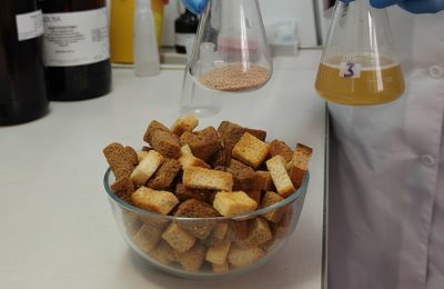 Скандалы, успехи и перспективы русских сухарей – секреты знакомого продукта раскрыли эксперты ЦОК АПК