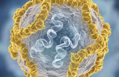 Энтеровирус может привести к нарушениям двигательной активности