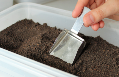 Что скрывает земля мегаполиса: невидимая экосистема под асфальтом