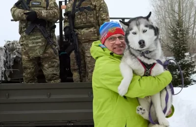 Хаски, самоеды, маламуты: в упряжке каждый хорош
