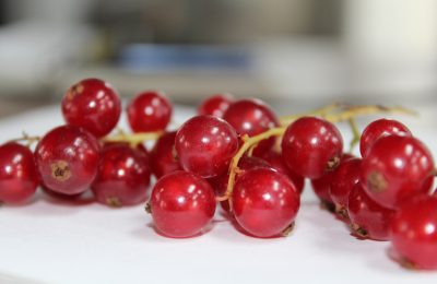 Полезны ли свежие ягоды зимой?