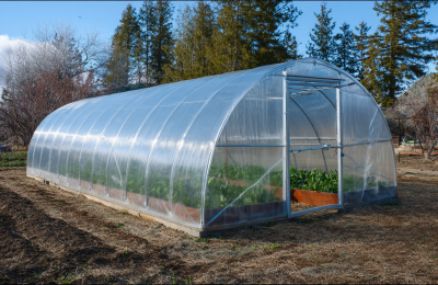 Как подготовить теплицу к новому сезону: советы дачникам от экспертов ЦОК АПК