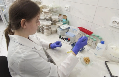 ГОСТ для чак-чака: лабораторный контроль восточной сладости и советы экспертов ЦОК АПК по ее выбору