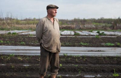 Как оформить огородный или садовый  земельный участок?