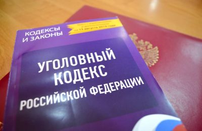 В Коченевском районе неоплаченные долги привели к аресту коровы у должника