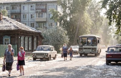 В России начинается сезон тополиного пуха: эксперты ЦОК АПК дают советы по защите