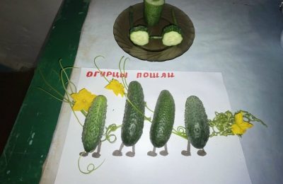 День огурца в Малой Черемшанке