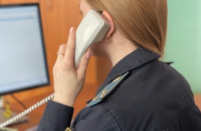 Долговые обязательства пришлось исполнять родственникам должника