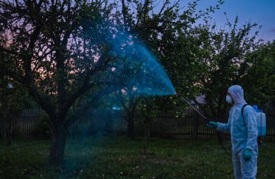 Медный купорос: для чего нужен и как использовать на пользу саду летом