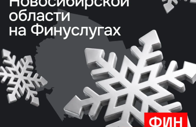 Новосибирская область впервые разместит народные облигации