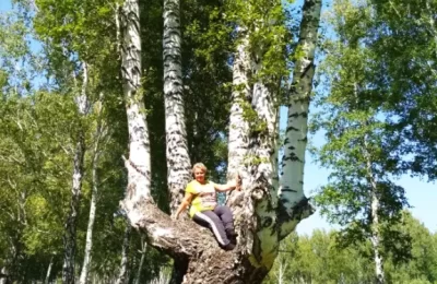 Березовая ладонь