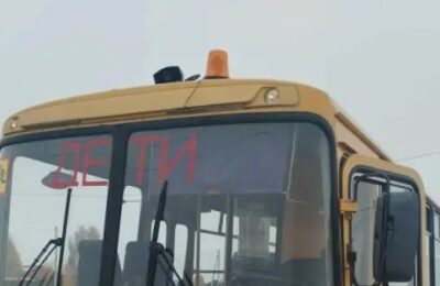 Профессионал за рулём школьного автобуса